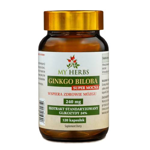Ginkgo Biloba super Mocna 120kaps.jpg