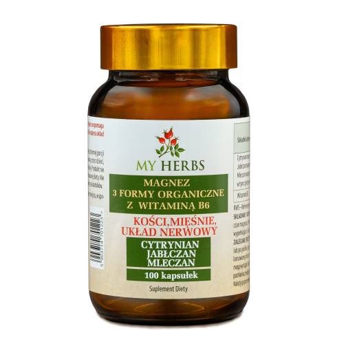 Magnez 3 Formy organiczne z Witaminą b6 100kaps.jpg