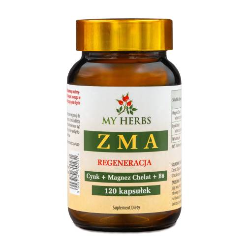 ZMA 120kaps nowe logo.jpg