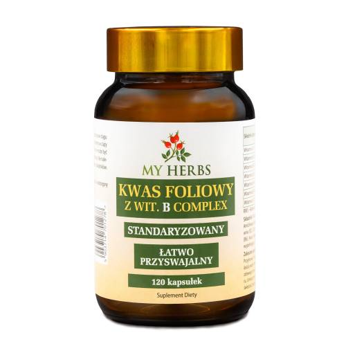 Kwas Foliowy Z Wit. B Complex 120 kaps nowe logo.jpg