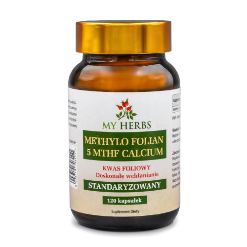 Methylo Folian 5 Mthf Calcium 120 kaps nowe logo.jpg