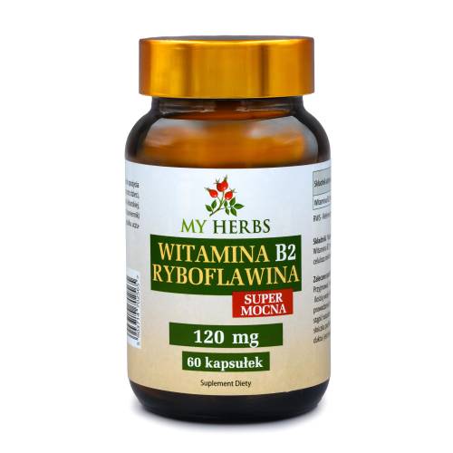 Witamina B2 Ryboflawina Super Mocna 60 kaps nowe logo.jpg