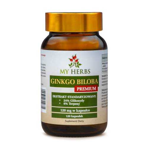 Ginkgo Biloba Premium 120 kaps nowe logo.jpg
