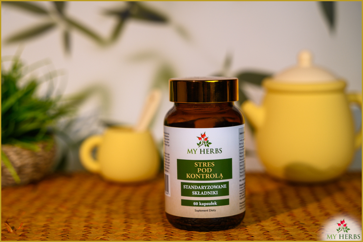 Cholina, mio-inozytol, ashwagandha i witaminy B – jak wspierają energię, mózg i stres?